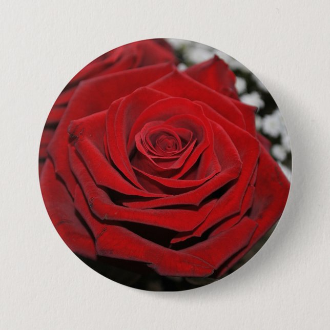 Schöne Rote Rose Button (Vorderseite)