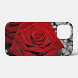 Schöne Rote Rose Case-Mate iPhone Hülle