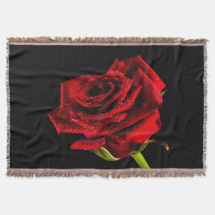 Schöne rote Rose Decke
