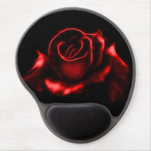 Schöne Rote Rose