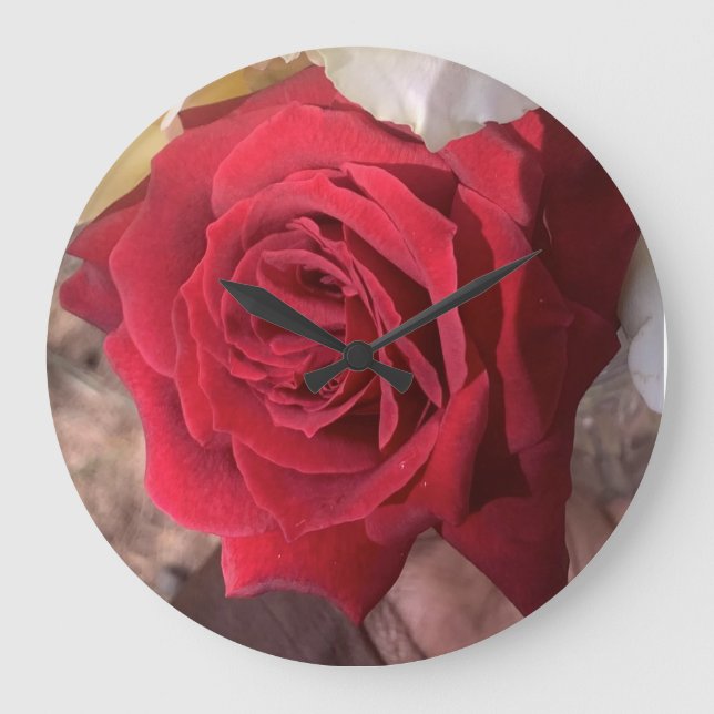Schöne Rote Rose Große Wanduhr (Vorderseite)