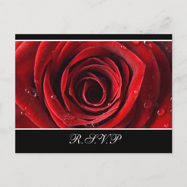Schöne Rote Rose Hochzeit RSVP Postkarte - Schwarz (Vorderseite)