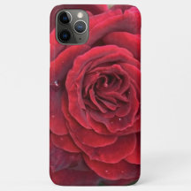 Schöne rote Rose iphone 11 Pro Max Barely gibt