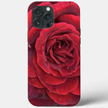 Schöne rote Rose iPhone 13 Pro Max Tough
