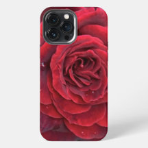 Schöne rote Rose iPhone 13 Pro Max Tough