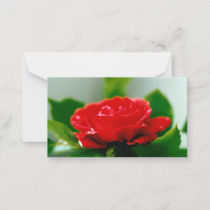 Schöne rote Rose Morgentau-Tropfen Mitteilungskarte