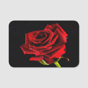 Schöne rote Rose Namensschild