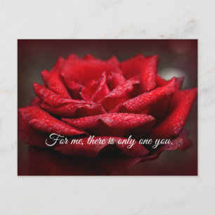 Schöne Rote Rose Postkarte  Anpassbare Meldung