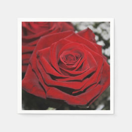 Schöne Rote Rose Serviette