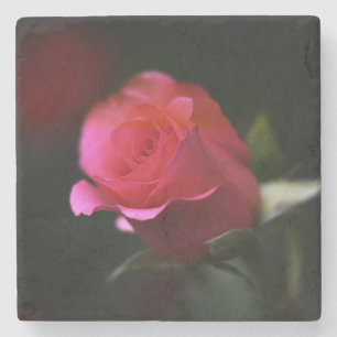 Schöne Rote Rose Steinuntersetzer