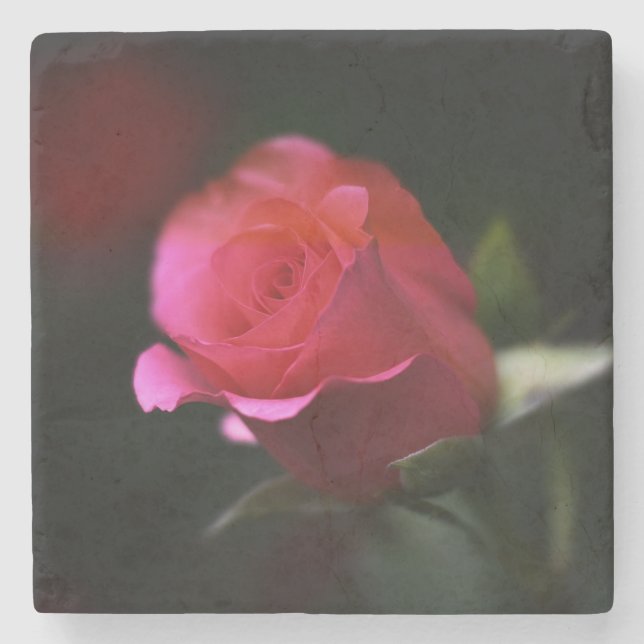 Schöne Rote Rose Steinuntersetzer (Vorderseite)