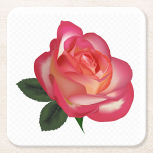 Schöne Rote Rose Untersetzer Set