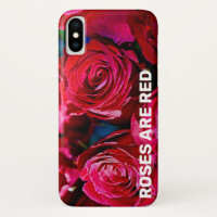 Schöne Rote Rosen