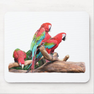 schöne rote und blaue Papageien Mousepad
