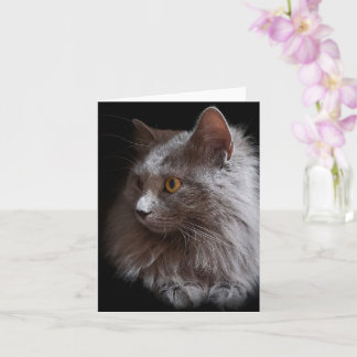 Schöne Russisch Blue Gray Cat Nebelung Blank Karte