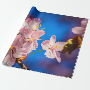 Schöne Sakura-Blüten Geschenkpapier