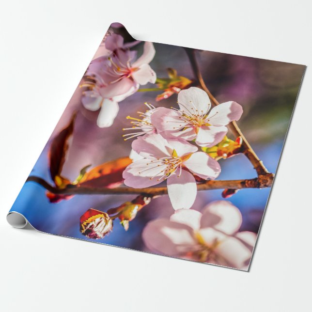 Schöne Sakura-Blüten Geschenkpapier (Ungerollt)