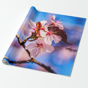 Schöne Sakura-Blüten Geschenkpapier