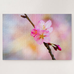 Schöne Sakura Kirschblüten