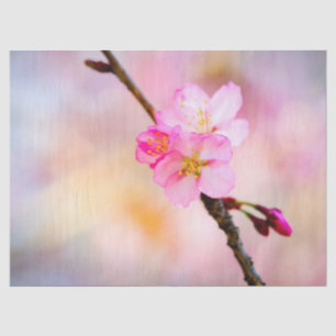 Schöne Sakura Kirschblüten Seidenpapier
