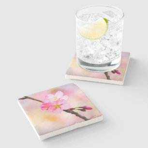 Schöne Sakura Kirschblüten Steinuntersetzer