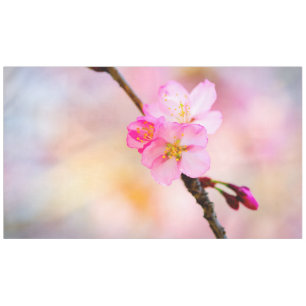 Schöne Sakura Kirschblüten Tischdecke