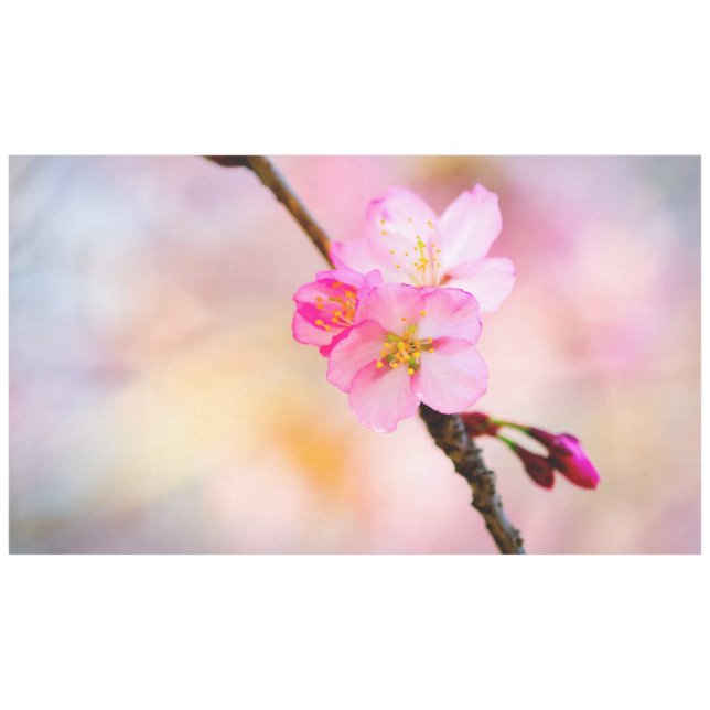 Schöne Sakura Kirschblüten Tischdecke (Vorderseite (Horizontal))