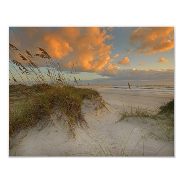 Schöne Sanddünen am Strand von Daytona, FL Fotodruck (Vorne)
