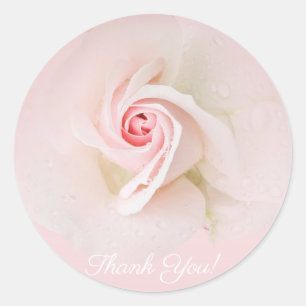 Schöne sanfte rosa Rose elegante Babyparty Runder Aufkleber