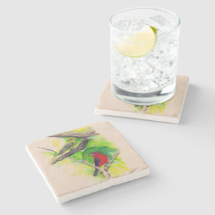 Schöne Scarlet Tanager Malerei Steinuntersetzer