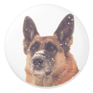 Schöne Schäferhund-HundeFoto-Fach-Züge Keramikknauf
