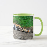 Schöne schlafende Tigerkaffee-Tasse
