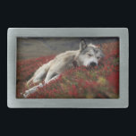 Schöne schlafende Wolf Gürtelschnalle<br><div class="desc">Das ist ein wunderschöner, schlafender Wolf-Gürtelschnalle</div>