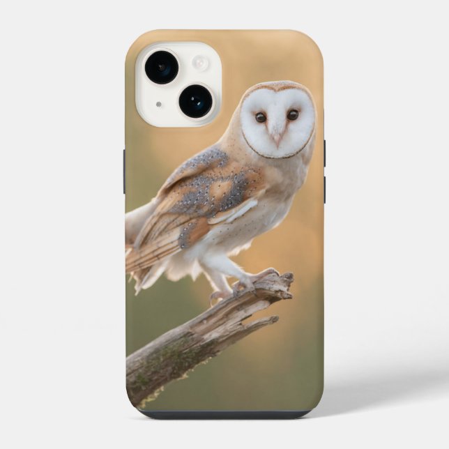Schöne Schleiereule iPhone 14 Hülle (Rückseite)