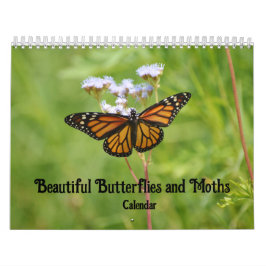 Schöne Schmetterlinge und Mottenkalender Kalender