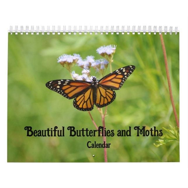 Schöne Schmetterlinge und Mottenkalender Kalender (Titelbild)