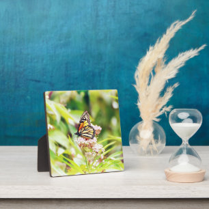 Schöne Schmetterlingskunst Fotoplatte