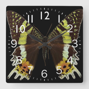 Schöne Schmetterlingsnähe Quadratische Wanduhr