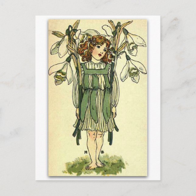 Schöne Schneeabfälle von NELLIE BENSON Postkarte (Vorderseite)