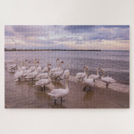 Schöne Schwäne im Morgenpuzzle