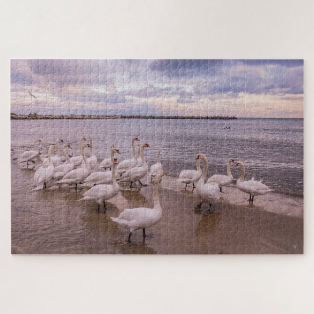 Schöne Schwäne im Morgenpuzzle (Horizontal)