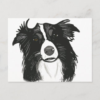 Schöne Schwarz-Weiß-Grenzkollie Postkarte