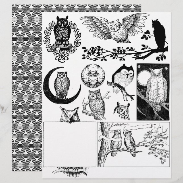 Schöne Schwarz-Weiß-Linien Kunst, Dichtung und Mus (Vorne/Hinten)