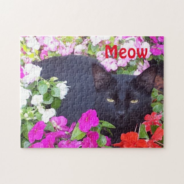 Schöne schwarze Katze mit grünen Augen in den (Horizontal)