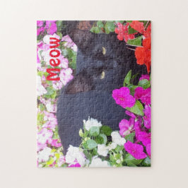 Schöne schwarze Katze mit grünen Augen in den