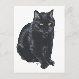 Schöne schwarze Katze Postkarte