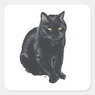 Schöne schwarze Katze Quadratischer Aufkleber