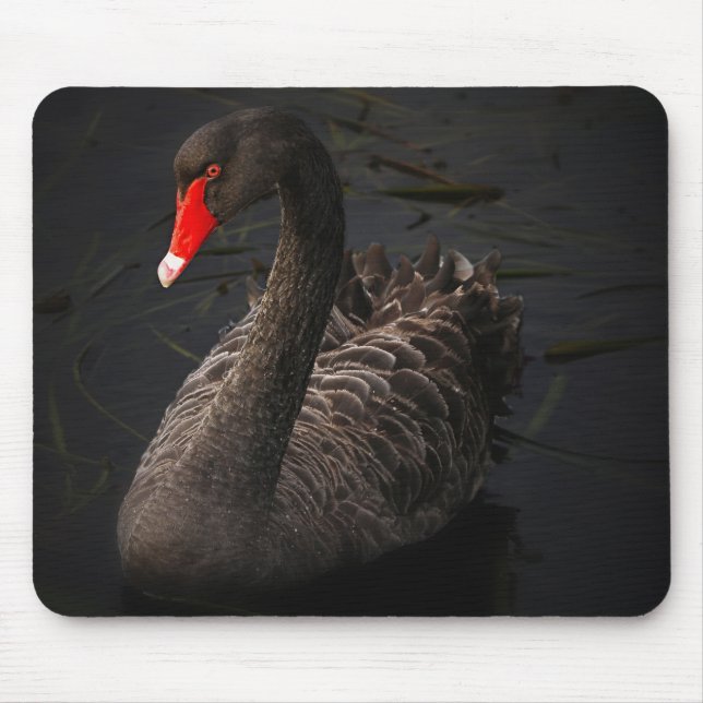 Schöne Schwarze Schwäne Am Fluss schwimmen Mousepad (Vorne)