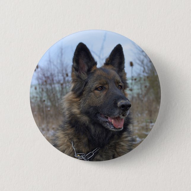 schöne schwarze und bräunliche deutsche Schäferwel Button (Vorderseite)