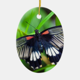 Schöne schwarze, weiße und rote Schmetterlinge Keramik Ornament